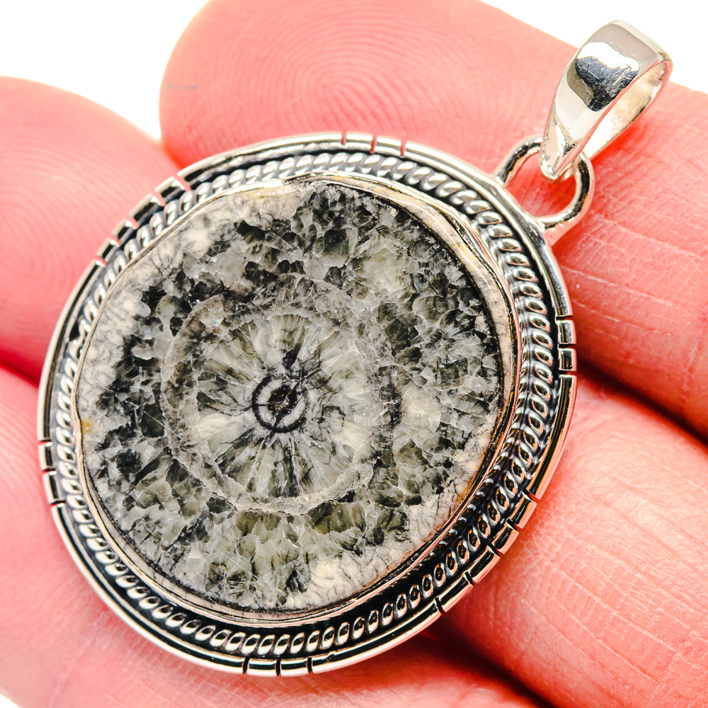 Goniatite Fossil Pendants handcrafted by Ana Silver Co - PD18670