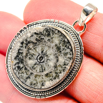 Goniatite Fossil Pendants handcrafted by Ana Silver Co - PD18670