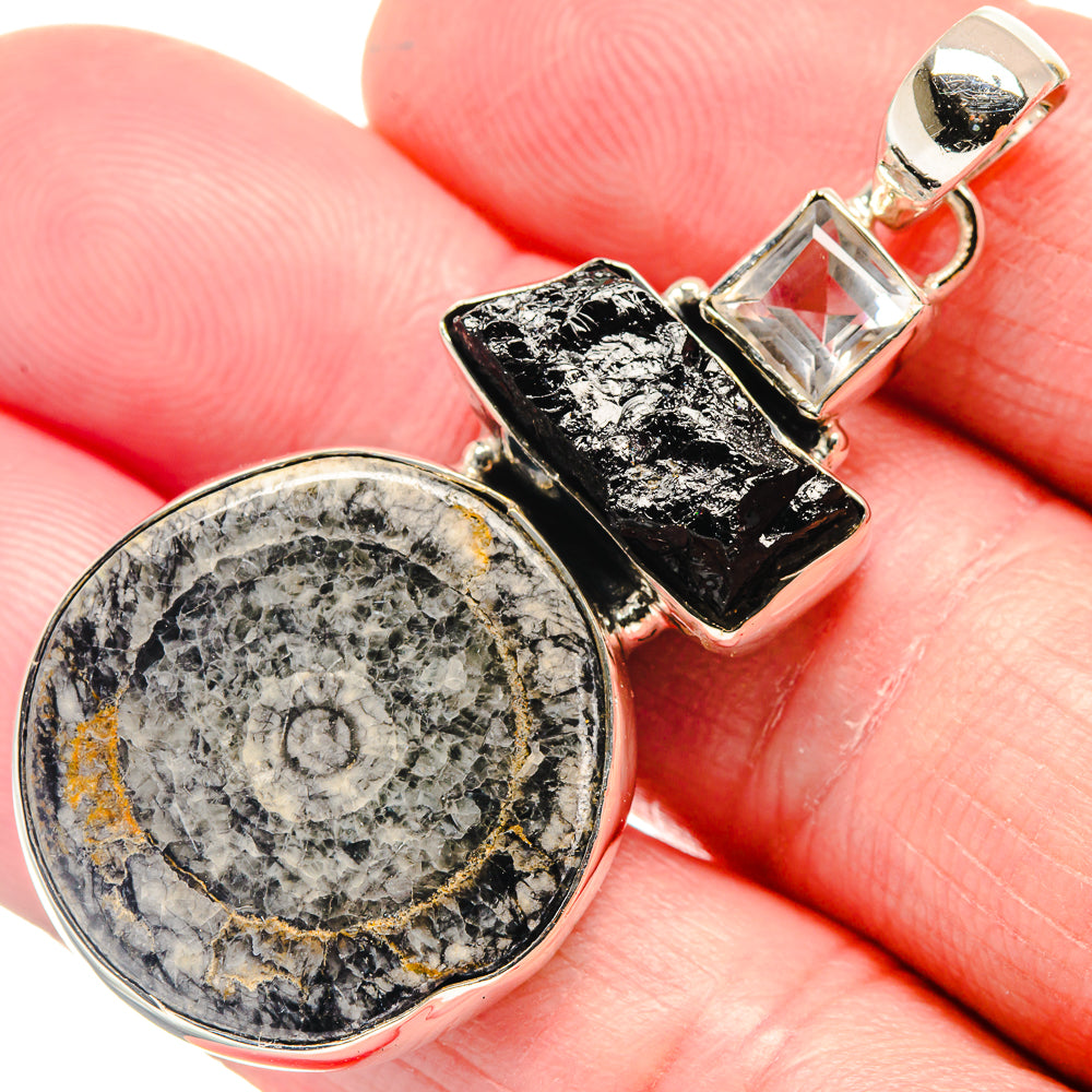 Goniatite Fossil Pendants handcrafted by Ana Silver Co - PD18725