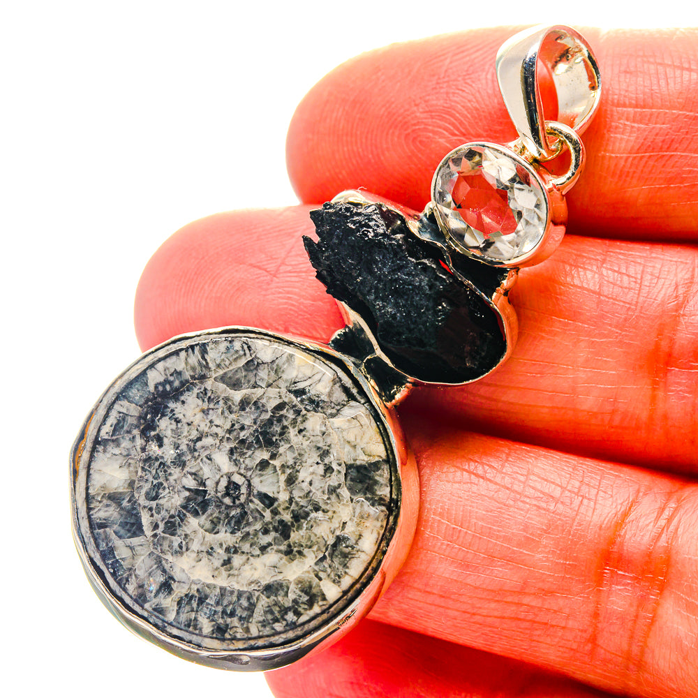 Goniatite Fossil Pendants handcrafted by Ana Silver Co - PD19005