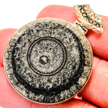 Moroccan Goniatite Fossil Pendants handcrafted by Ana Silver Co - PD20164
