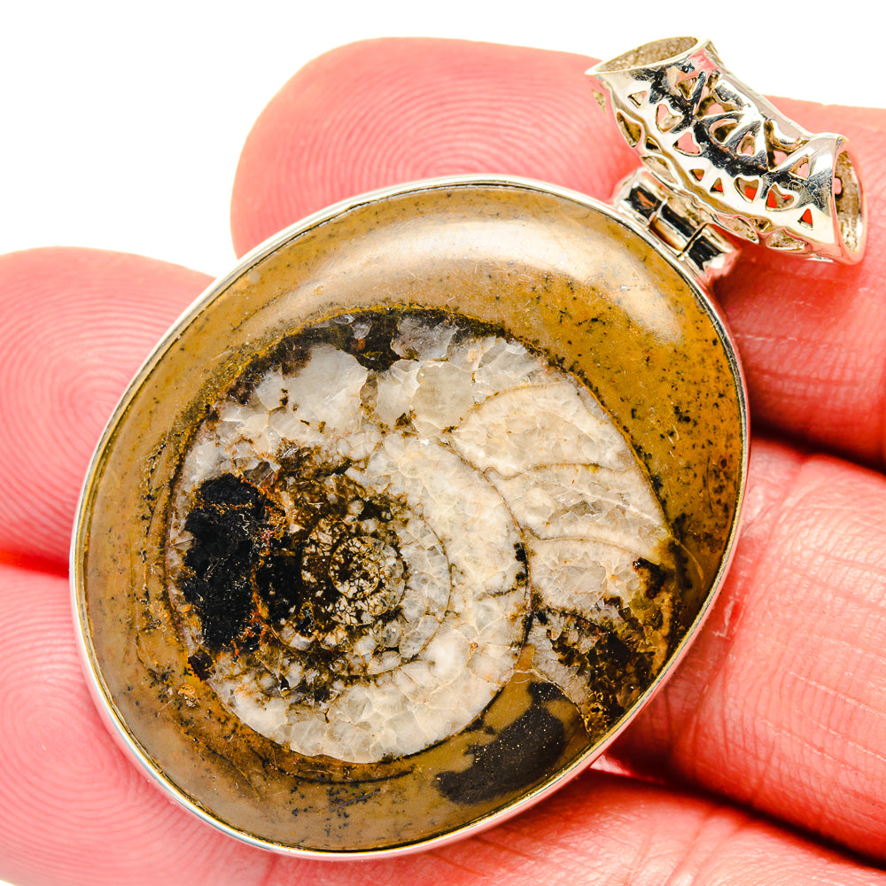 Ammonite Fossil Pendants handcrafted by Ana Silver Co - PD20165
