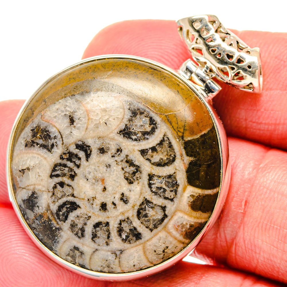 Round ammonite fossil pendant in 925 sterling silver with textured bail, close-up