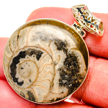Ammonite Fossil Pendants handcrafted by Ana Silver Co - PD20167