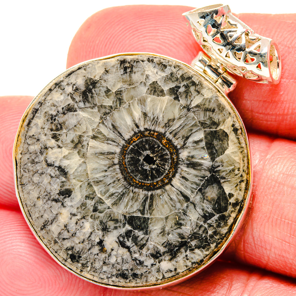 Moroccan Goniatite Fossil Pendants handcrafted by Ana Silver Co - PD20170