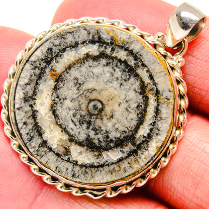 Oval fossil pendant with gold-tone bezel and 925 silver loop, black-gray stone detail