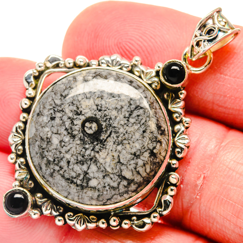 Moroccan Goniatite Fossil Pendants handcrafted by Ana Silver Co - PD20375