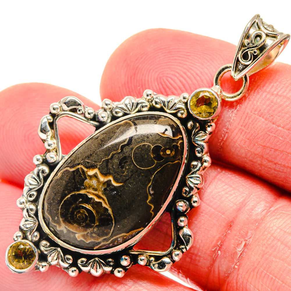 Turritella Agate Pendants handcrafted by Ana Silver Co - PD20386