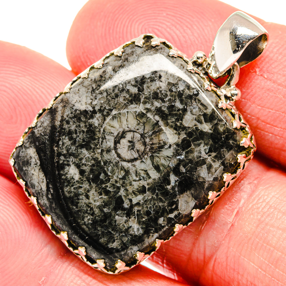 Moroccan Goniatite Fossil Pendants handcrafted by Ana Silver Co - PD20494