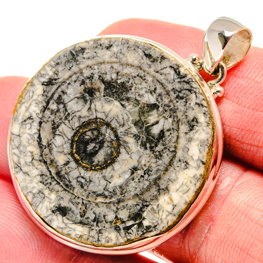 Moroccan Goniatite Fossil Pendants handcrafted by Ana Silver Co - PD20647