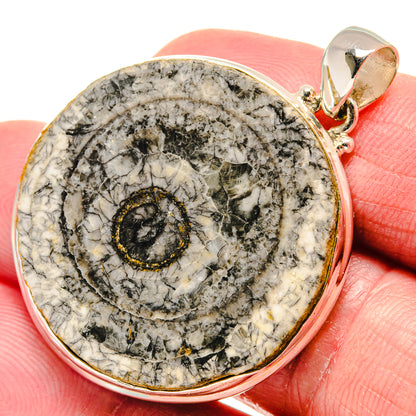 Moroccan Goniatite Fossil Pendants handcrafted by Ana Silver Co - PD20647