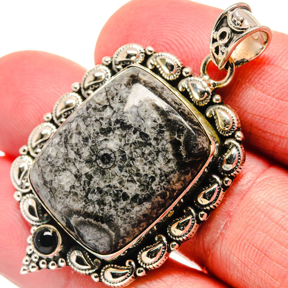 Moroccan Goniatite Fossil Pendants handcrafted by Ana Silver Co - PD20648