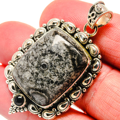Moroccan Goniatite Fossil Pendants handcrafted by Ana Silver Co - PD20648