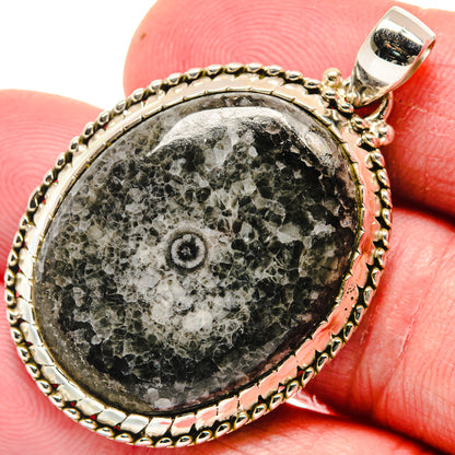 Moroccan Goniatite Fossil Pendants handcrafted by Ana Silver Co - PD20806