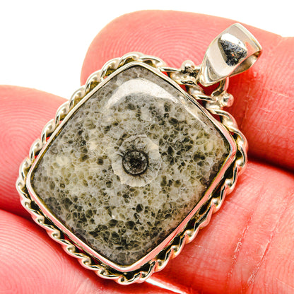 Moroccan Goniatite Fossil Pendants handcrafted by Ana Silver Co - PD20967
