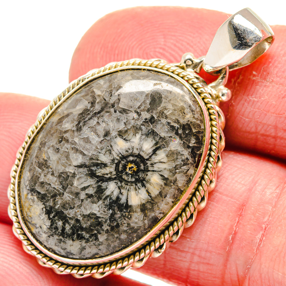 Moroccan Goniatite Fossil Pendants handcrafted by Ana Silver Co - PD21396