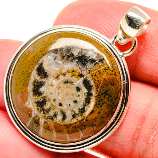 Turritella Agate Pendants handcrafted by Ana Silver Co - PD21940