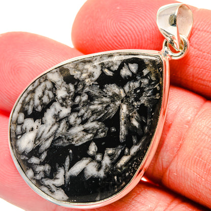 Chrysanthemum stone pendant with teardrop cabochon, black and white speckled, silver bail