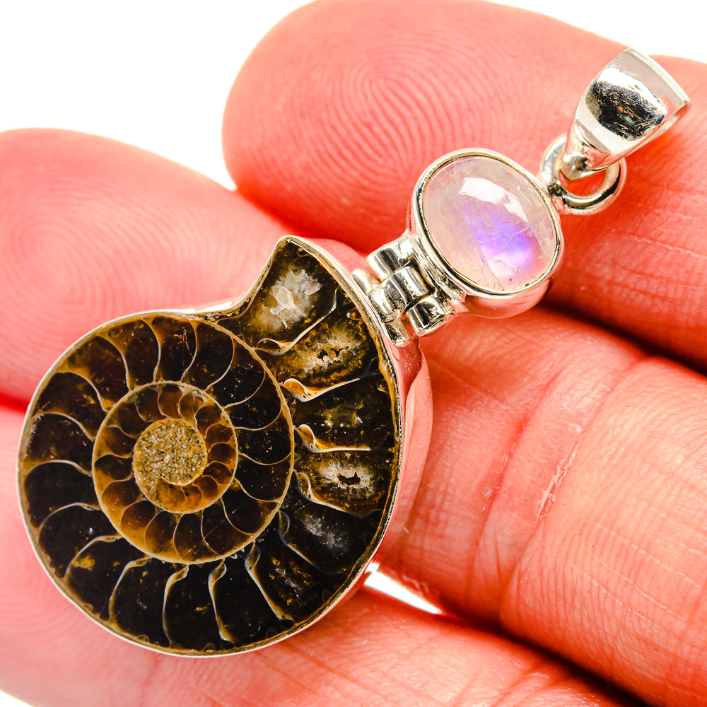 Ammonite Fossil Pendants handcrafted by Ana Silver Co - PD22062