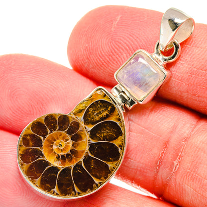 Ammonite Fossil Pendants handcrafted by Ana Silver Co - PD22186