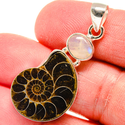 Ammonite Fossil Pendants handcrafted by Ana Silver Co - PD22270