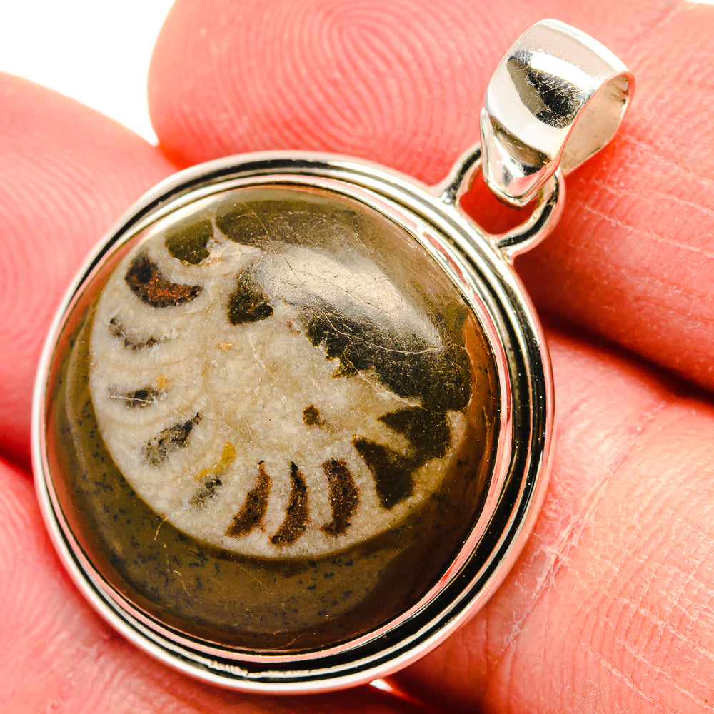 Turritella Agate Pendants handcrafted by Ana Silver Co - PD22310