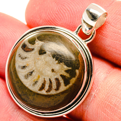 Turritella Agate Pendants handcrafted by Ana Silver Co - PD22310
