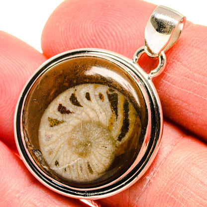 Turritella Agate Pendants handcrafted by Ana Silver Co - PD22311