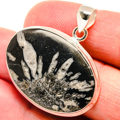 Oval black chrysanthemum stone pendant with white streaks and sterling silver bail