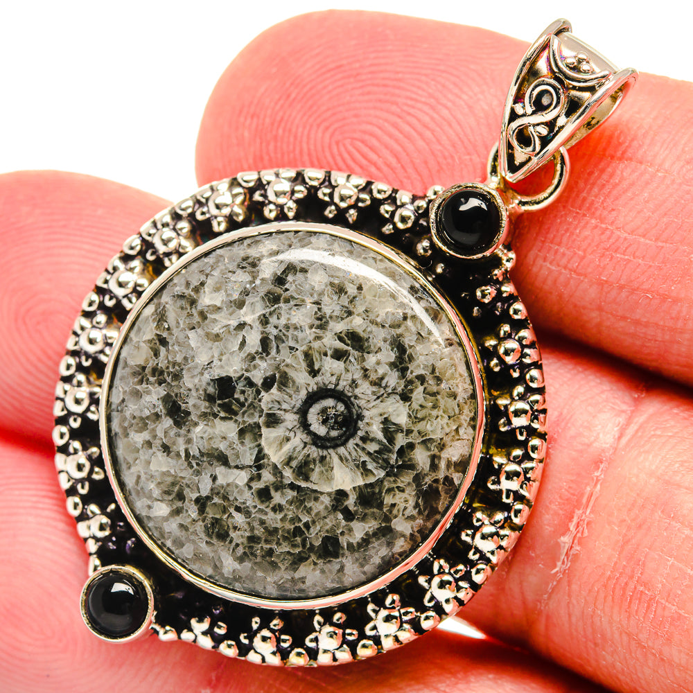 Moroccan Goniatite Fossil Pendants handcrafted by Ana Silver Co - PD22415