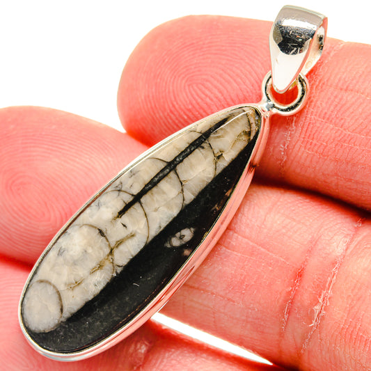 Orthoceras Fossil Pendants handcrafted by Ana Silver Co - PD22467