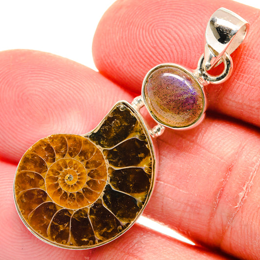 Ammonite Fossil Pendants handcrafted by Ana Silver Co - PD22475