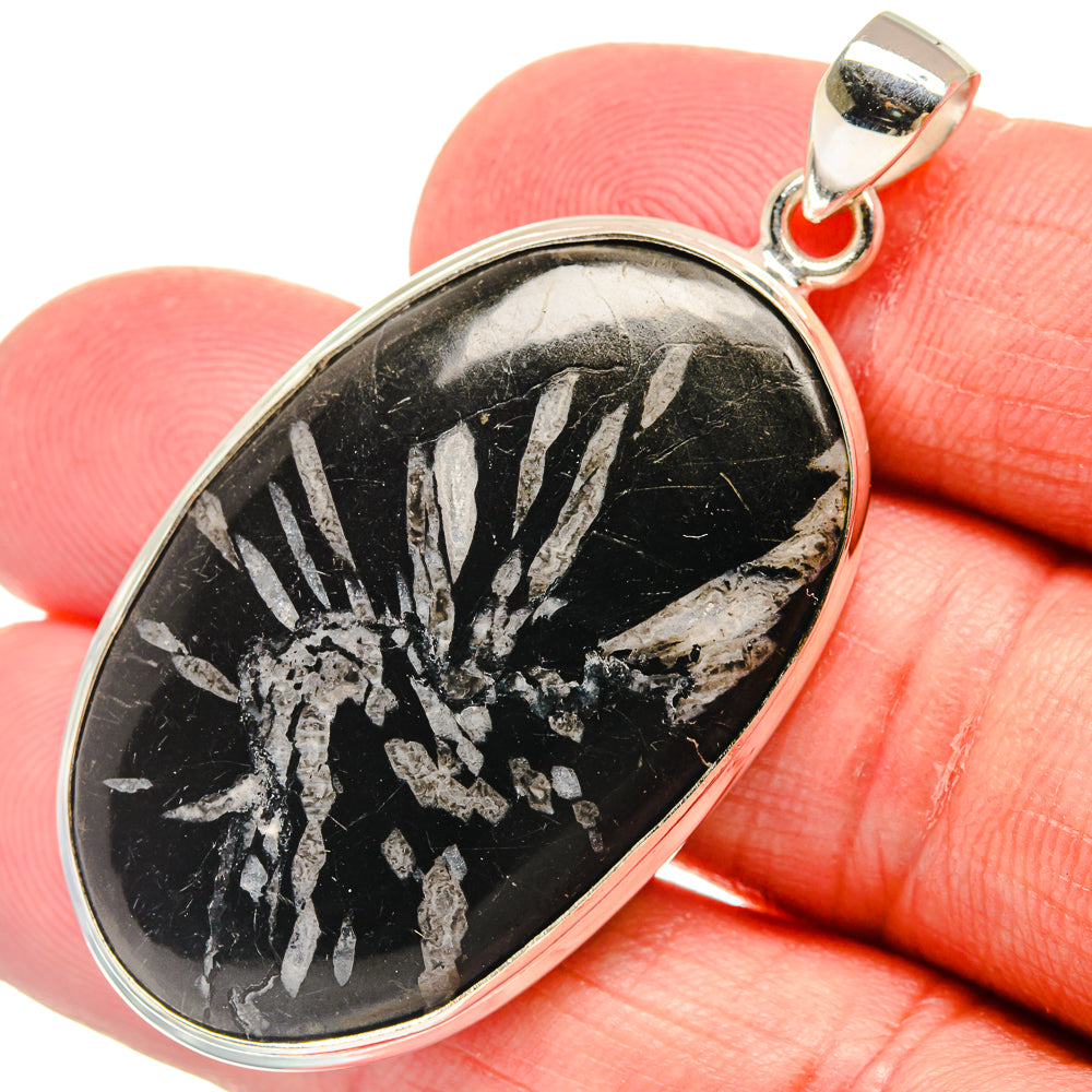 Oval black chrysanthemum stone pendant in 925 sterling silver, silver crystal burst pattern
