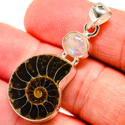 Ammonite Fossil Pendants handcrafted by Ana Silver Co - PD22567