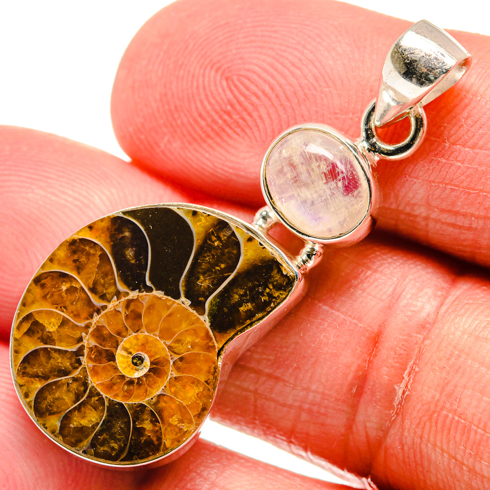 Ammonite Fossil Pendants handcrafted by Ana Silver Co - PD22568