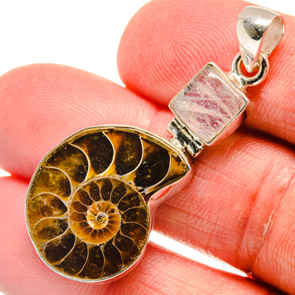 Ammonite Fossil Pendants handcrafted by Ana Silver Co - PD22569