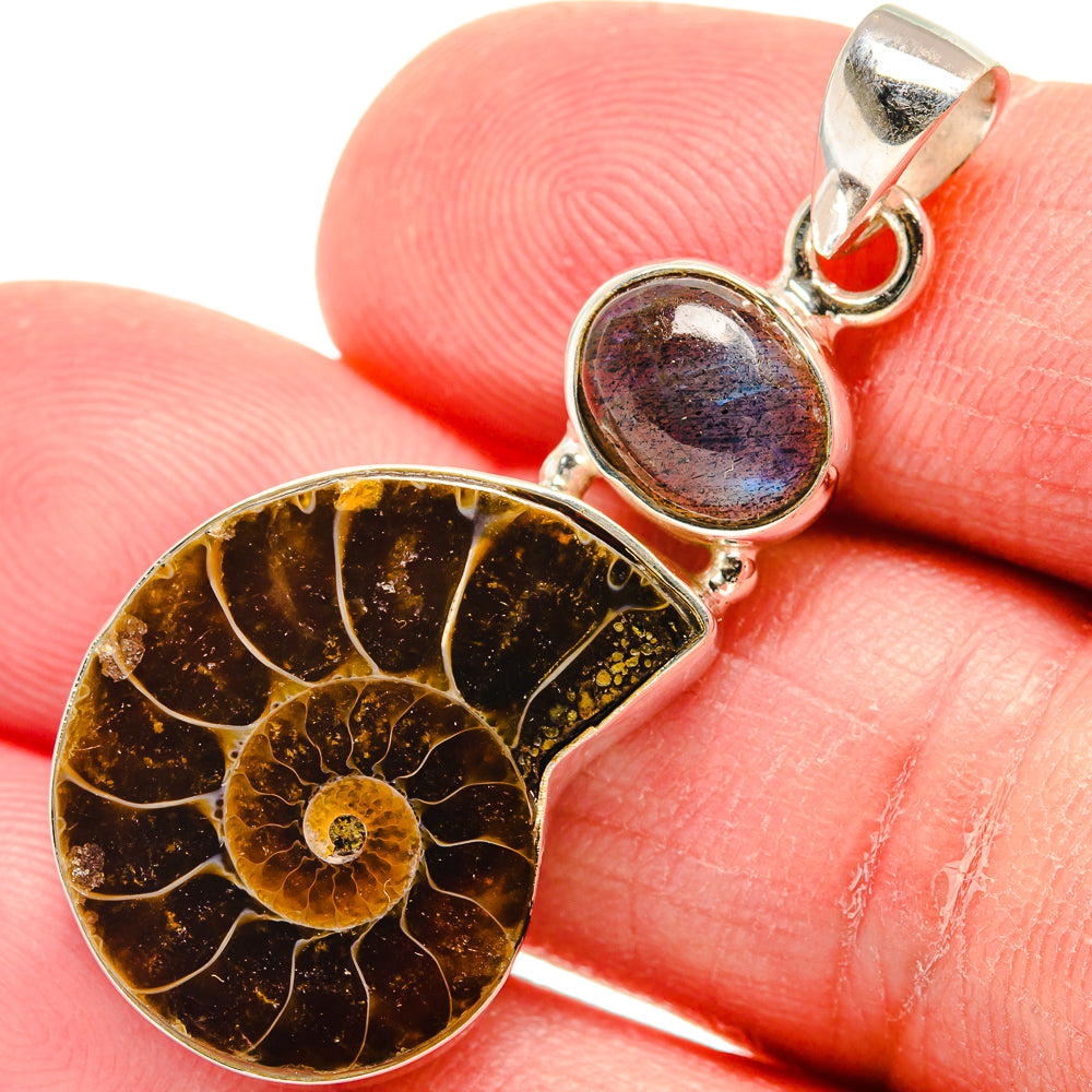 Ammonite Fossil Pendants handcrafted by Ana Silver Co - PD22788