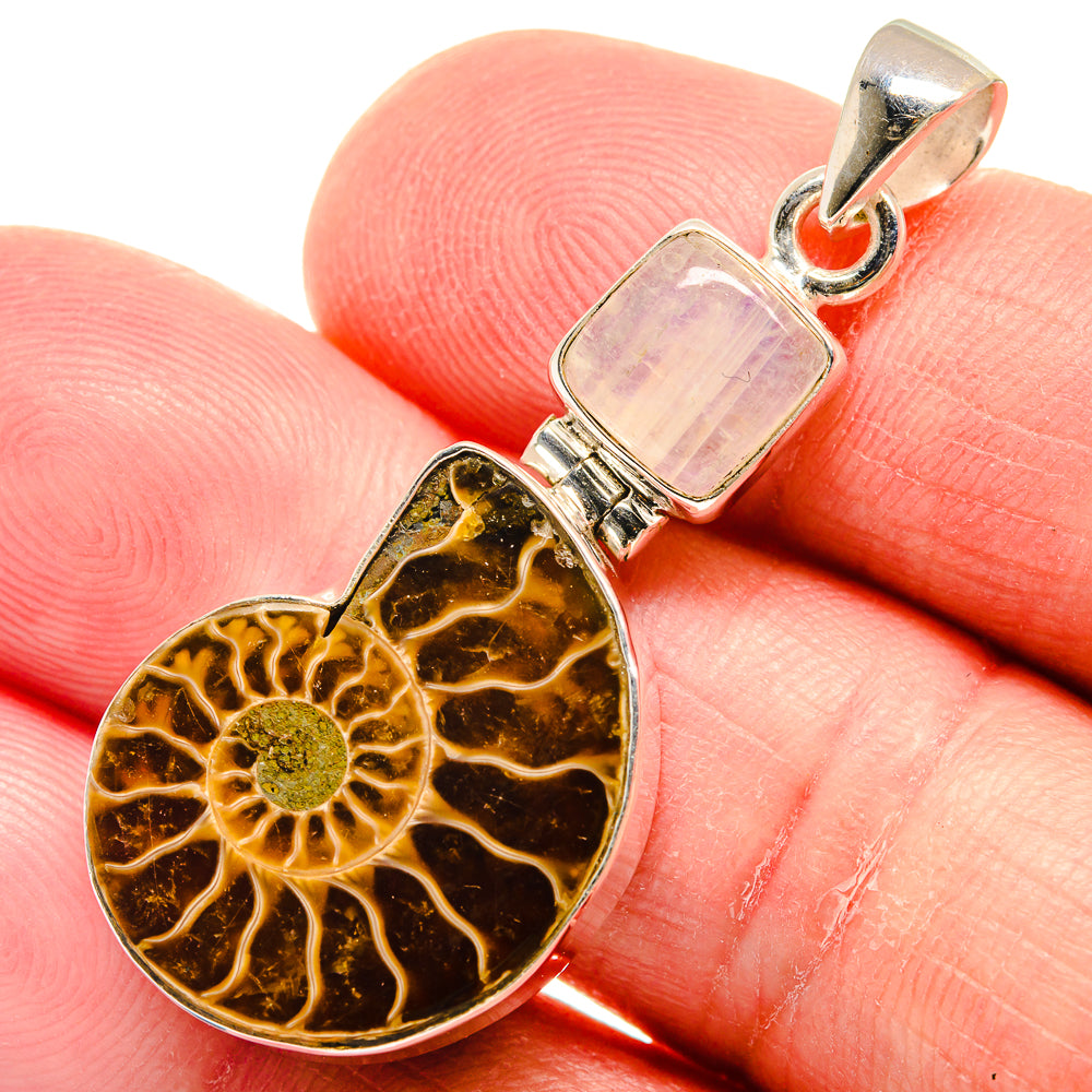 Ammonite Fossil Pendants handcrafted by Ana Silver Co - PD22855