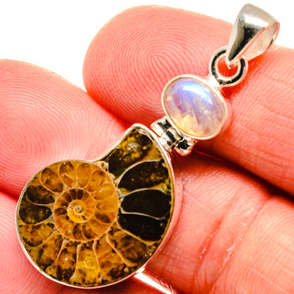 Ammonite Fossil Pendants handcrafted by Ana Silver Co - PD23009