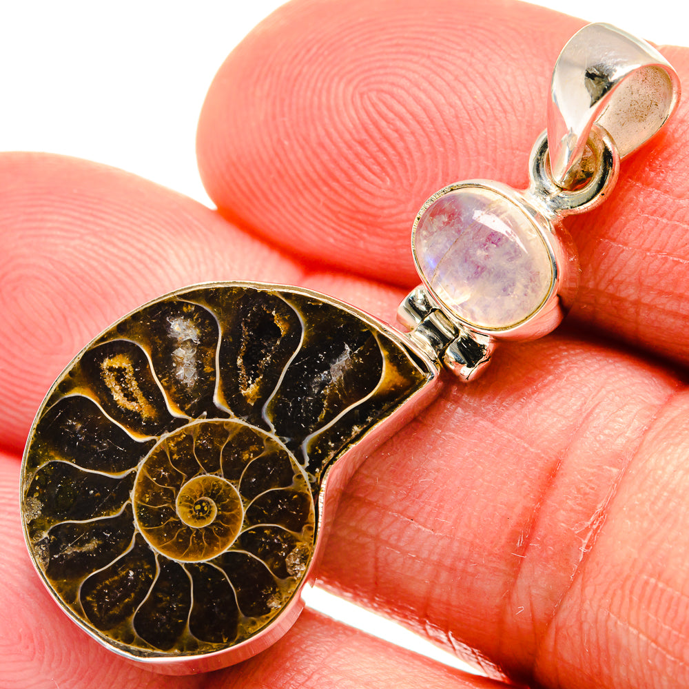 Ammonite Fossil Pendants handcrafted by Ana Silver Co - PD23179