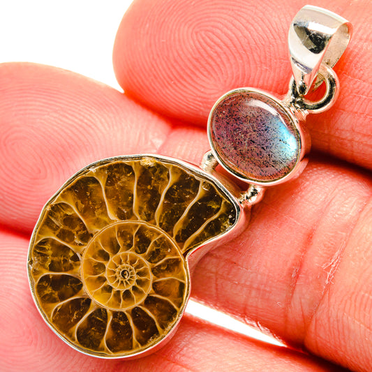 Ammonite Fossil Pendants handcrafted by Ana Silver Co - PD23186