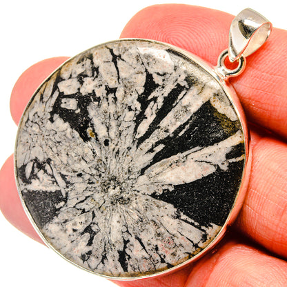 Round chrysanthemum stone pendant in 925 sterling silver bezel, shown on fingers
