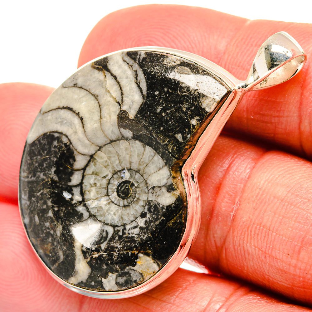 Pinolith Fossil Pendants handcrafted by Ana Silver Co - PD23252