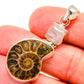 Ammonite Fossil Pendants handcrafted by Ana Silver Co - PD23512