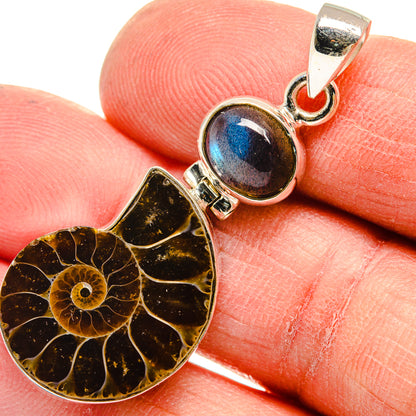 Ammonite Fossil Pendants handcrafted by Ana Silver Co - PD23710