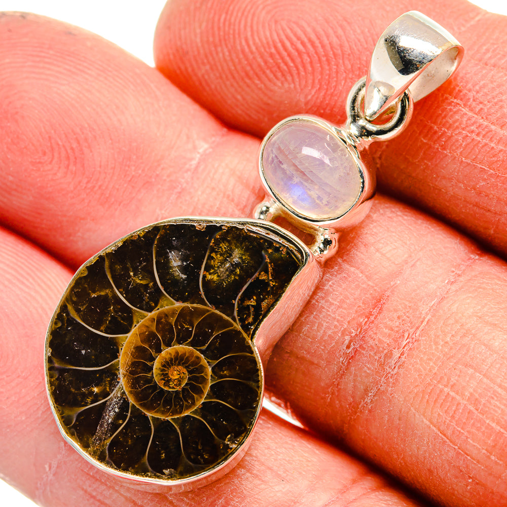 Ammonite Fossil Pendants handcrafted by Ana Silver Co - PD23712
