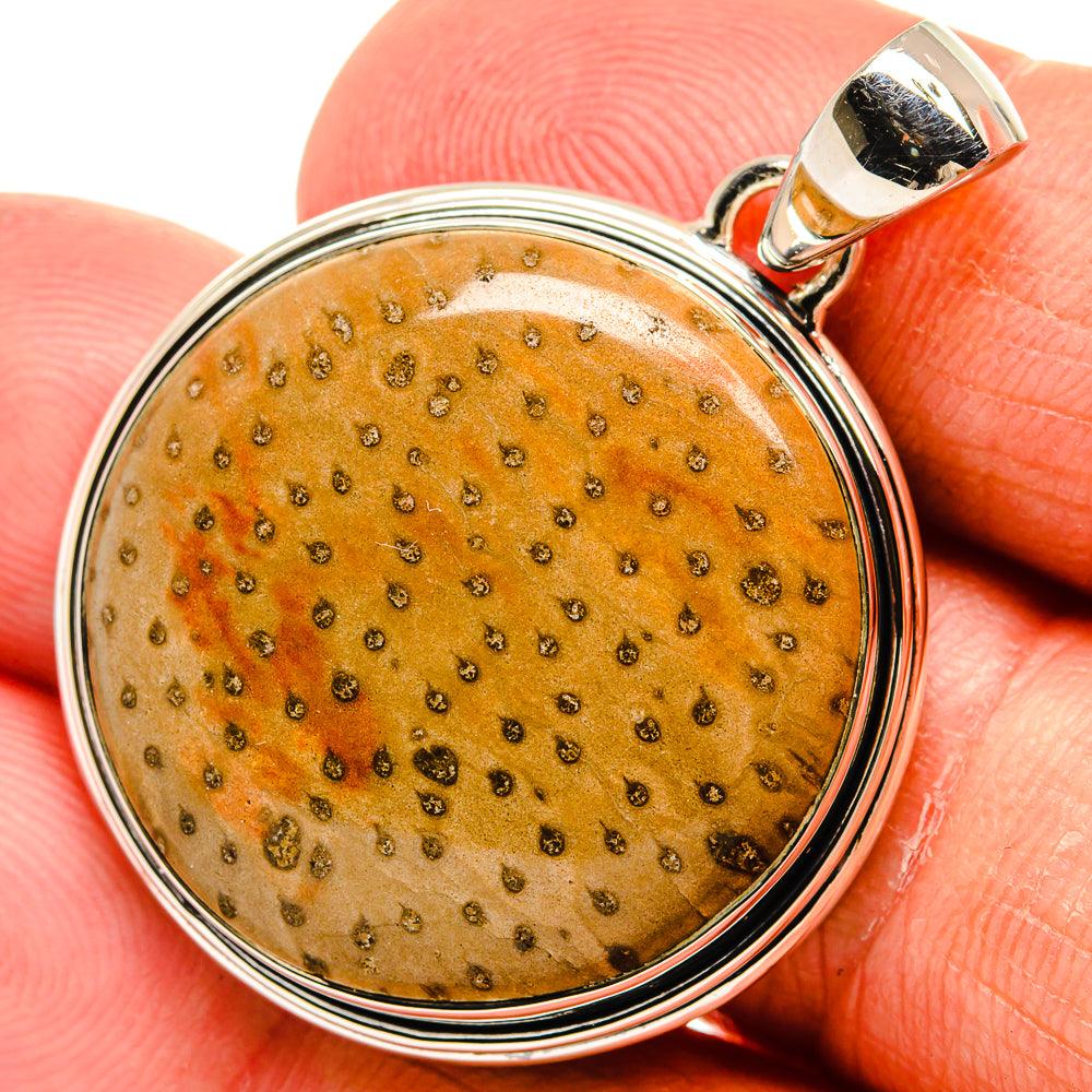 Palm Wood Jasper Pendants handcrafted by Ana Silver Co - PD24128