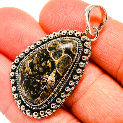 Teardrop turritella agate pendant, 925 sterling silver with bead border and loop bail