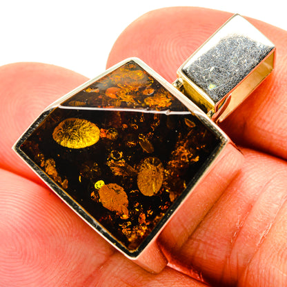 Baltic Amber Pendants handcrafted by Ana Silver Co - PD26204