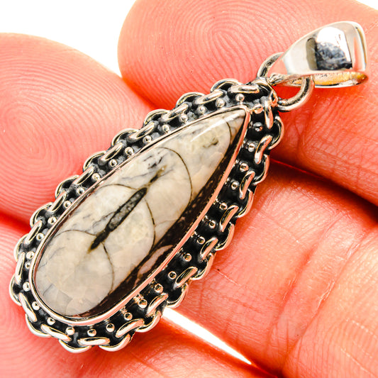 Orthoceras Fossil Pendants handcrafted by Ana Silver Co - PD26506